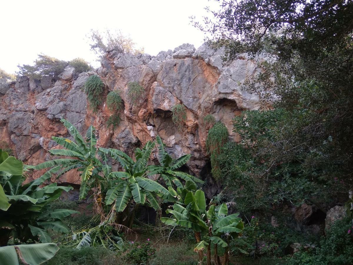 Erofili's House Διαμέρισμα